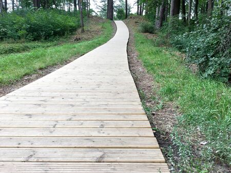 Latvia, Jurmala. Wooden path leading through the dune to the seaの写真素材