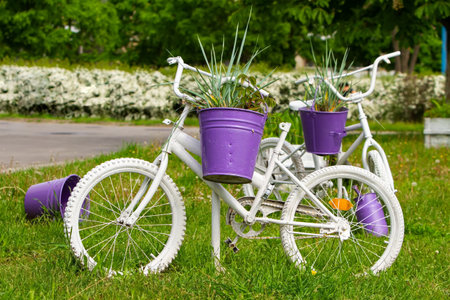 old children's bicycles are painted white and used in the street flowerbed as a flower pot holder. reuse of things, the second life of a bicycle.の写真素材