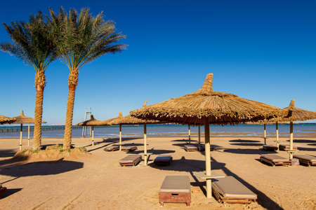 deserted empty beach, sun loungers and umbrellas on the shores of the Red Sea, evening, winter Sharm El Sheikh, Egyptの写真素材