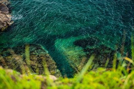 Azure sea and grass in the foregroundの写真素材