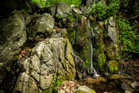 Small waterfall in the green summer forest