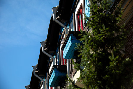 Modern building with colorful balconies and a tree contrasts beautifully in urban landscapeの写真素材