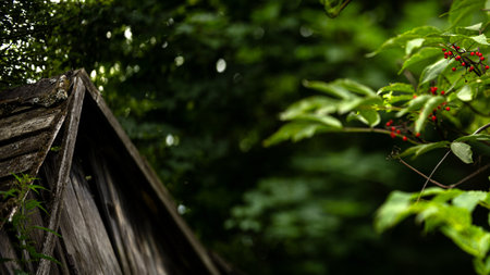 A wooden roof adorned with greenery and red berries creates a charming countryside scene