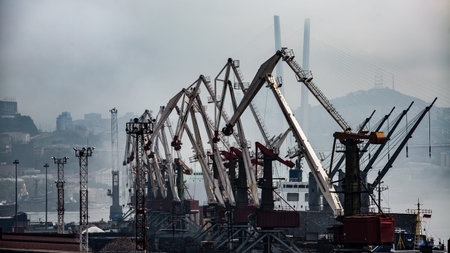 Cranes are lined up in a harbor with a bridge behind them