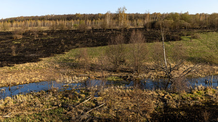 A Beautiful Spring Landscape Featuring Burnt Grass Alongside a Serene River in a Picturesque Settingの写真素材