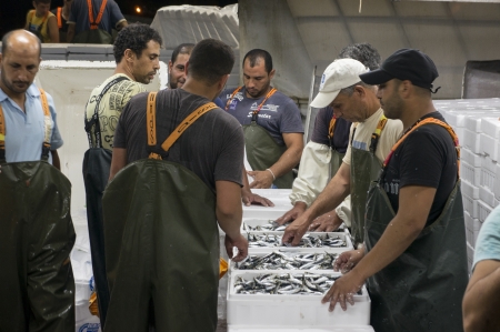 Maronia, Greece - July 9, 2012  Commercial fishermen delivering the sardines nightのeditorial素材