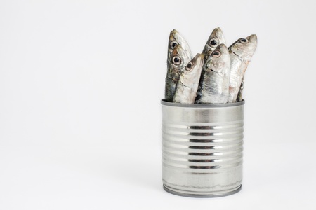 fresh fishes, sardine, in tin can as a preserved foodの写真素材