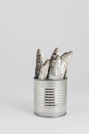 fresh fishes, sardine, in tin can as a preserved foodの写真素材