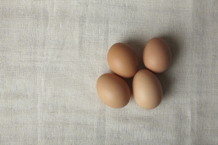 Group of eggs on the kitchen counter.の写真素材