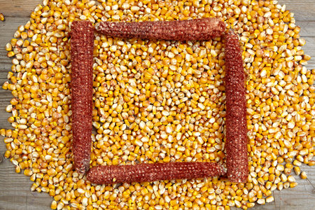 frame made of  corn seeds with wooden backgroundの写真素材