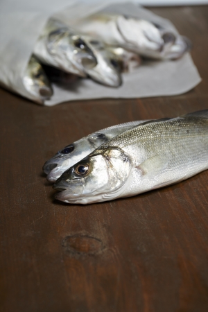 fresh fish, sea bass, ready for cookingの写真素材