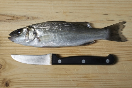 fresh fish, sea bass, ready for cookingの写真素材