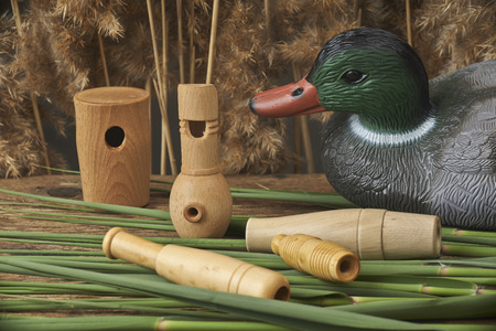 duck decoys and whistles for birds in the reedsの写真素材