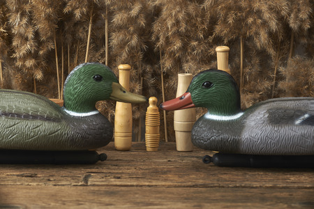duck decoys and whistles for birds in the reedsの写真素材
