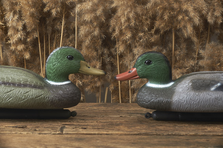 duck decoys and whistles for birds in the reedsの写真素材