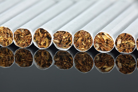 many cigarettes in raw close upの写真素材