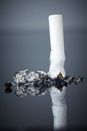  single cigarette butt close upの写真素材
