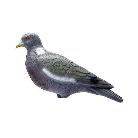 Plastic pigeon decoy isolate on a white backgroundの写真素材