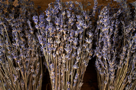 Dried lavender bunch on a wooden table.の写真素材