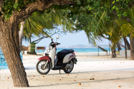 White-red scooter stands on the beach under palm treeの写真素材