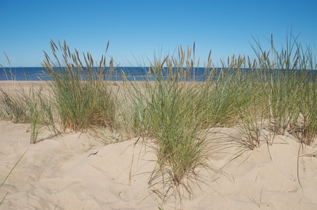 white dune near Riga, Latviaの写真素材
