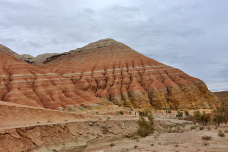 Kazakhstan is a state in Central Asia. The country's landscapes stretch from west to east from the Caspian Sea to the Altai Mountains and from north to south from the plains of Western Siberia to the oases and deserts of Central Asia. There are 10 nature reserves and 10 national parks in Kazakhstan that are a haven for many rare and endangered plants and animals.の写真素材
