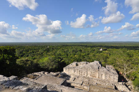 Calakmul is a Maya archaeological site in the Mexican state of Campeche.の写真素材
