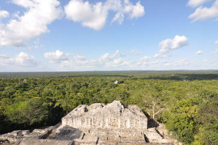 Calakmul is a Maya archaeological site in the Mexican state of Campeche.の写真素材
