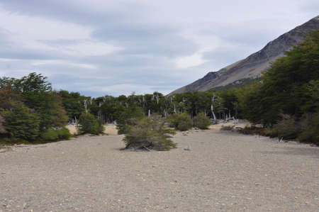 Patagonia refers to a geographical region that encompasses the southern end of South America, governed by Argentina and Chile.の写真素材