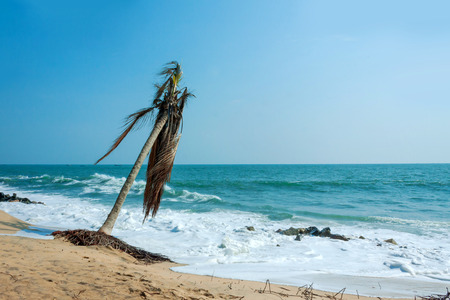 Tropical Beachの写真素材