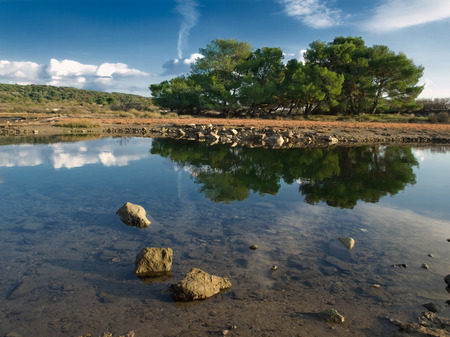 trees with reflection on the water under the bright sunny day, Adriatic coastの写真素材