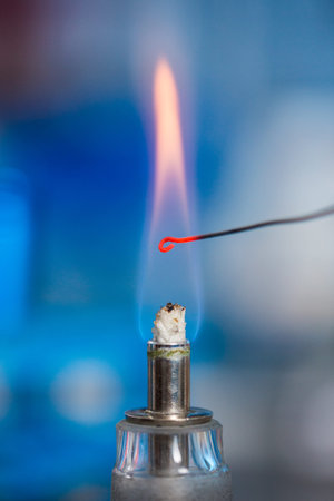 Microbiological inoculation loop heated in a flame