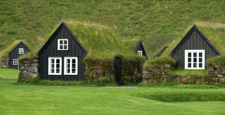 Traditional iclandic houses with grassy roofs.の写真素材