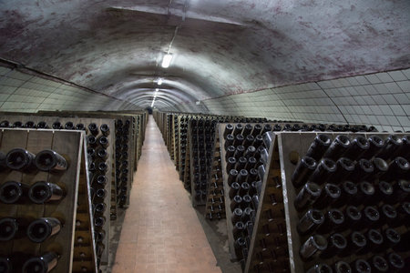Sparkling wine glass bottles fermenting in winery cellar