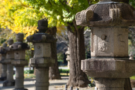 Yellow ginkgo trees and stone lanterns in Yasukuni-jinja Shrine. Yasukuni Shrine (Shinto-style shrine) is a Shinto shrine located in Chiyoda, Tokyo. It was founded by Emperor Meiji in June 1869.の写真素材