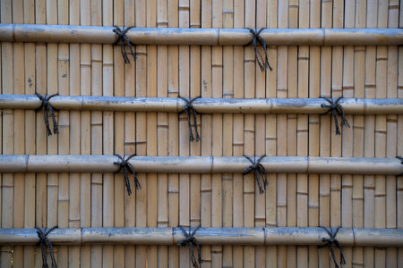 Tsurugaoka Hachimangu shrine in Kamakura, Japan. It exists as an architectural heritage site and historical site.の写真素材