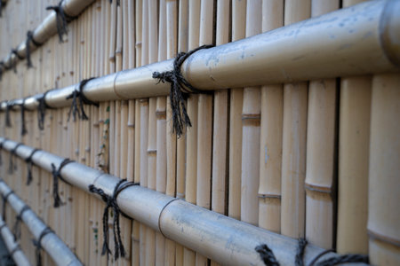 Tsurugaoka Hachimangu shrine in Kamakura, Japan. It exists as an architectural heritage site and historical site.の写真素材