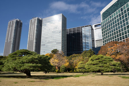 Autumn leaves in a garden in Tokyo, Japan. The garden is located in central Tokyo, alongside Tokyo Bay, in Shiodome district.の写真素材
