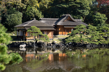 Autumn leaves in Hamarikyu Gardens, Tokyo, Japan. Hamarikyu Garden is located in central Tokyo, alongside Tokyo Bay, in Shiodome district.の写真素材