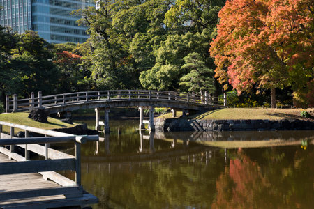 Autumn leaves in Hamarikyu Gardens, Tokyo, Japan. Hamarikyu Garden is located in central Tokyo, alongside Tokyo Bay, in Shiodome district.の写真素材