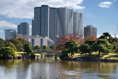 Autumn leaves in Hamarikyu Gardens, Tokyo, Japan. Hamarikyu Garden is located in central Tokyo, alongside Tokyo Bay, in Shiodome district.の写真素材