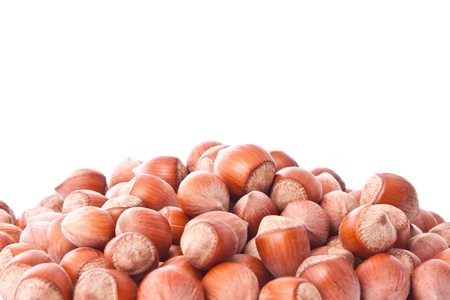 close up shot of hazelnuts isolated on white の写真素材