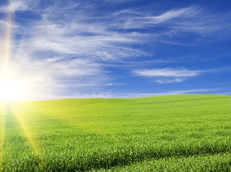sunset or sunrise in the  green field over blue cloudy sky landscapeの写真素材