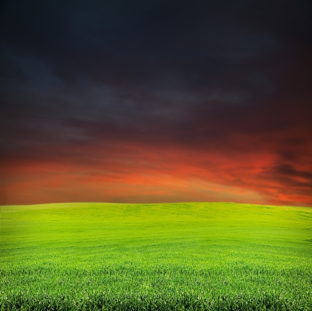 red and dark blue sky during sunset in summer evening green field landscapeの写真素材