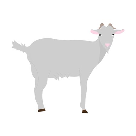 Farm animal goat. Cute goat vector flat illustration isolated on white background.のイラスト素材