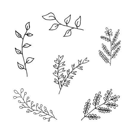 Forest leaf hand drawn vector. Set leaves. autumnal garden leaf Isolated on white background. Botanical forest plants or september october tree foliageのイラスト素材