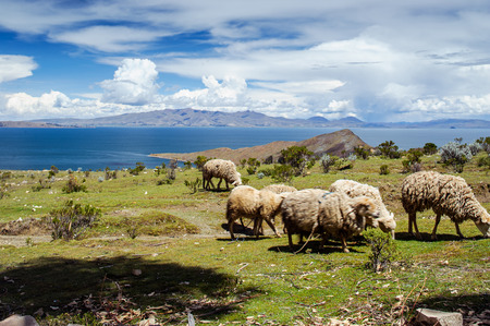 Isla Del Sol. Island of the Sun.の写真素材