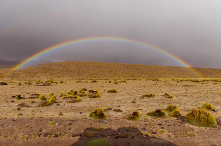 Mountains of Bolivia, altiplano, desert and green landscapes, trees and rocks, sand and water, sky and earth. Beautiful views of South America.の写真素材