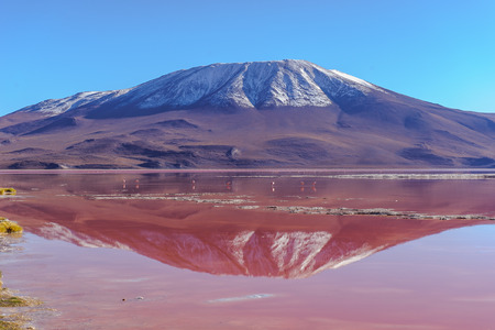 Mountains of Bolivia, altiplano, desert and green landscapes, trees and rocks, sand and water, sky and earth. Beautiful views of South America.の写真素材