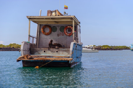on a beach in Ecuador\'s Galapagos Islands
